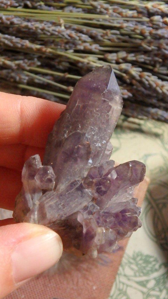 Amazing Amethyst Cluster - Earth Family Crystals