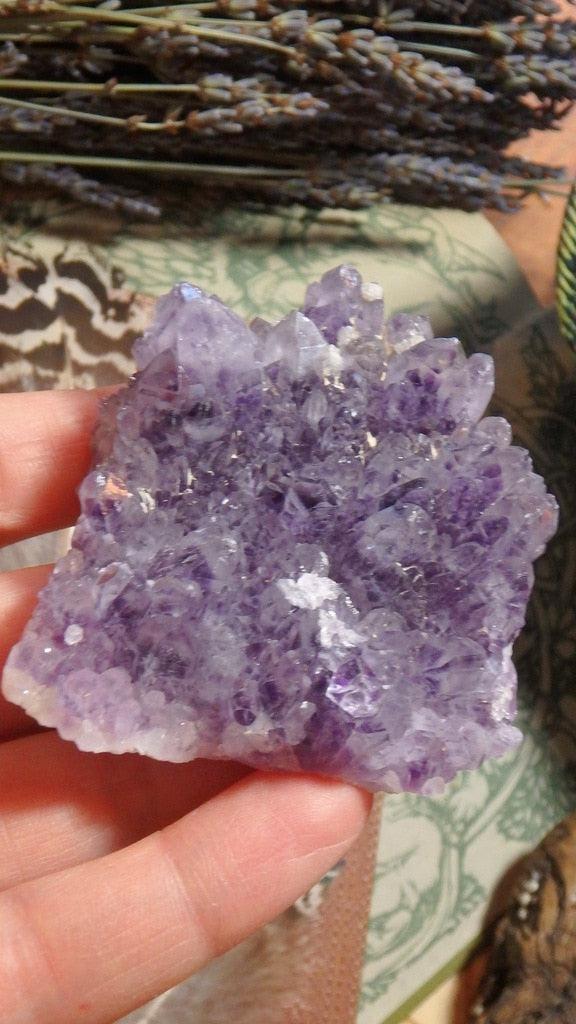 Fairy Druzy Amethyst Quartz Cluster - Earth Family Crystals