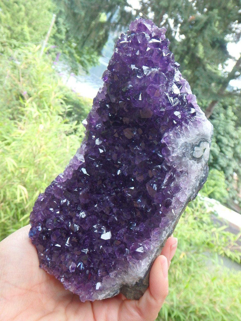 AA Grade~Extremely Brilliant Large Uruguay Amethyst Standing Display Specimen - Earth Family Crystals