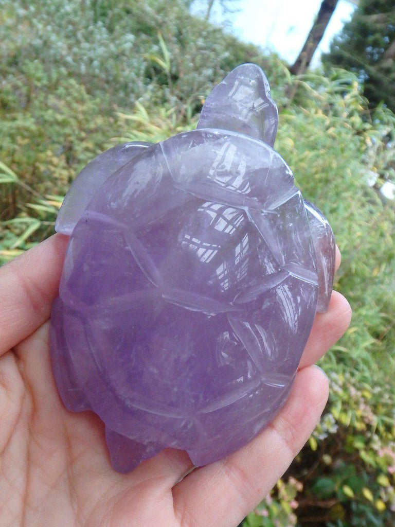 Large Sweet Purple Amethyst Turtle Carving - Earth Family Crystals