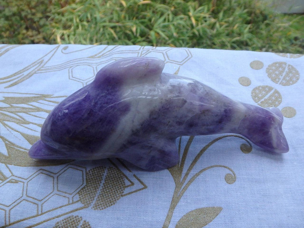 Large Adorable Purple Chevron Amethyst Dolphin Carving - Earth Family Crystals