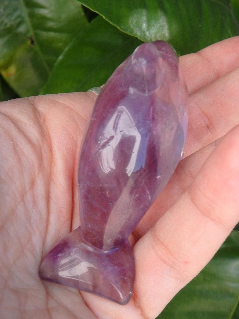 Purple Amethyst Dolphin Carving - Earth Family Crystals