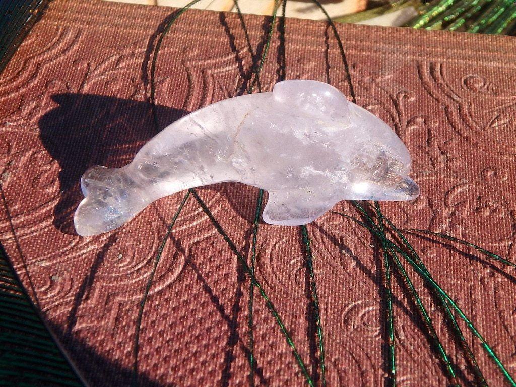 Amethyst Mini Dolphin Carving 1 - Earth Family Crystals
