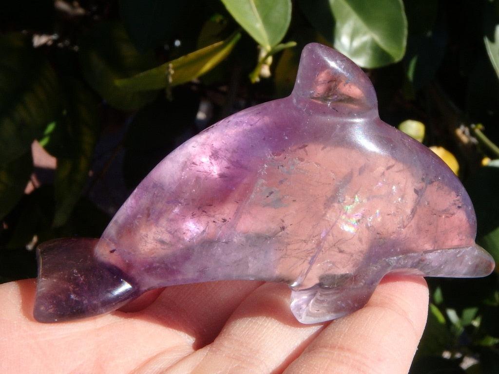 Purple Amethyst Dolphin Carving - Earth Family Crystals