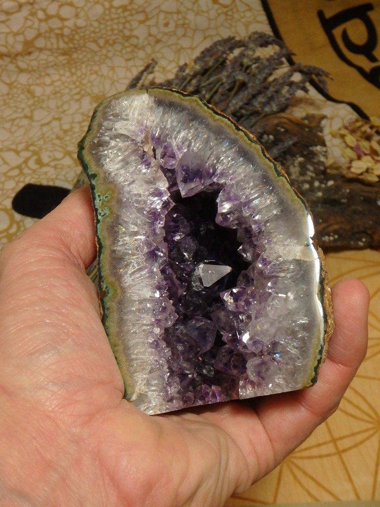 Cute & Stubby Uruguay Amethyst Geode Specimen - Earth Family Crystals