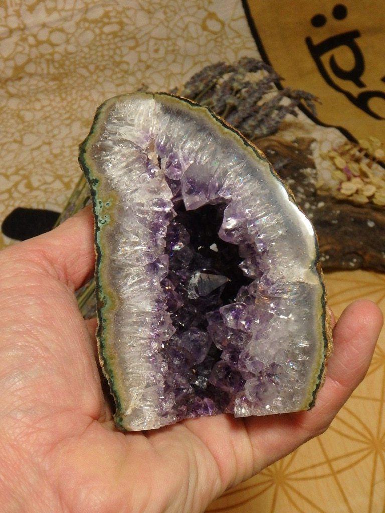 Cute & Stubby Uruguay Amethyst Geode Specimen - Earth Family Crystals