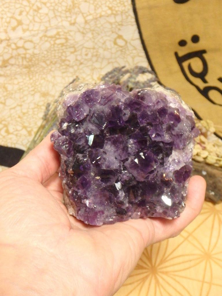 Gorgeous Purple Druzy Amethyst Geode Specimen - Earth Family Crystals