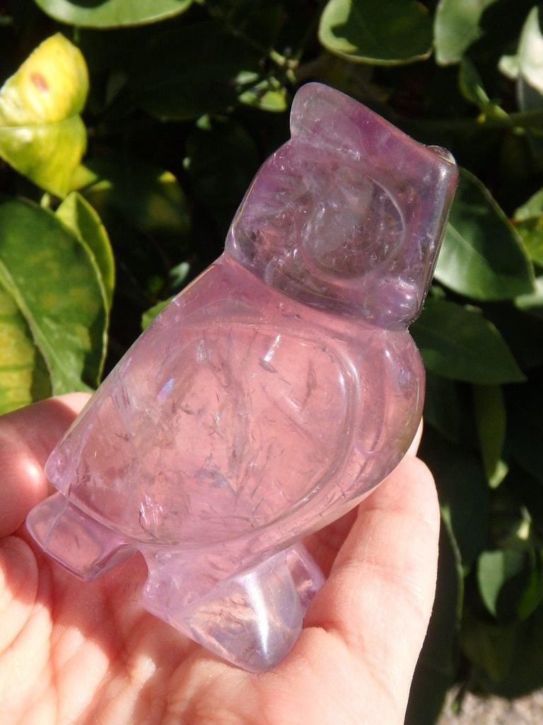 Adorable Amethyst Owl Carving - Earth Family Crystals