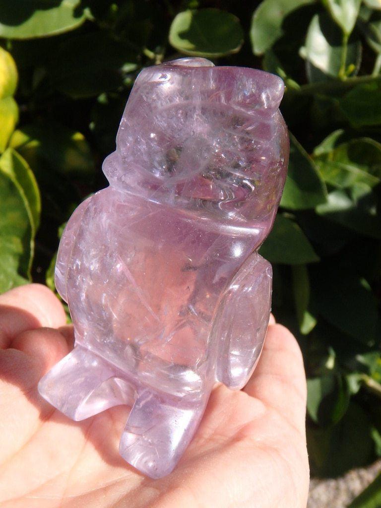 Adorable Amethyst Owl Carving - Earth Family Crystals