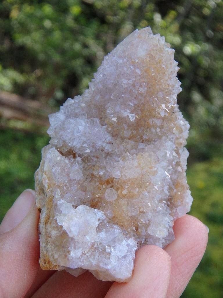 Sparkling Sweet Ametrine Spirit Quartz Specimen - Earth Family Crystals