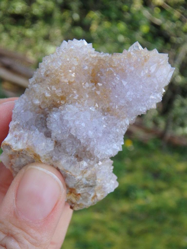 Sparkling Sweet Ametrine Spirit Quartz Specimen - Earth Family Crystals