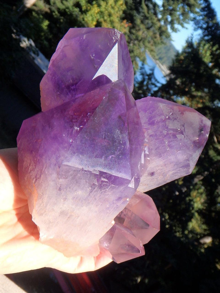 Exquisite XL Bolivian Elestial Ametrine Cathedral Cluster Unpolished Standing Specimen - Earth Family Crystals