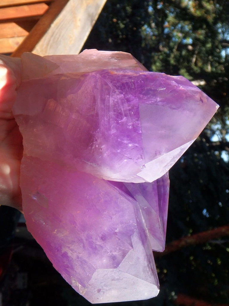 Exquisite XL Bolivian Elestial Ametrine Cathedral Cluster Unpolished Standing Specimen - Earth Family Crystals