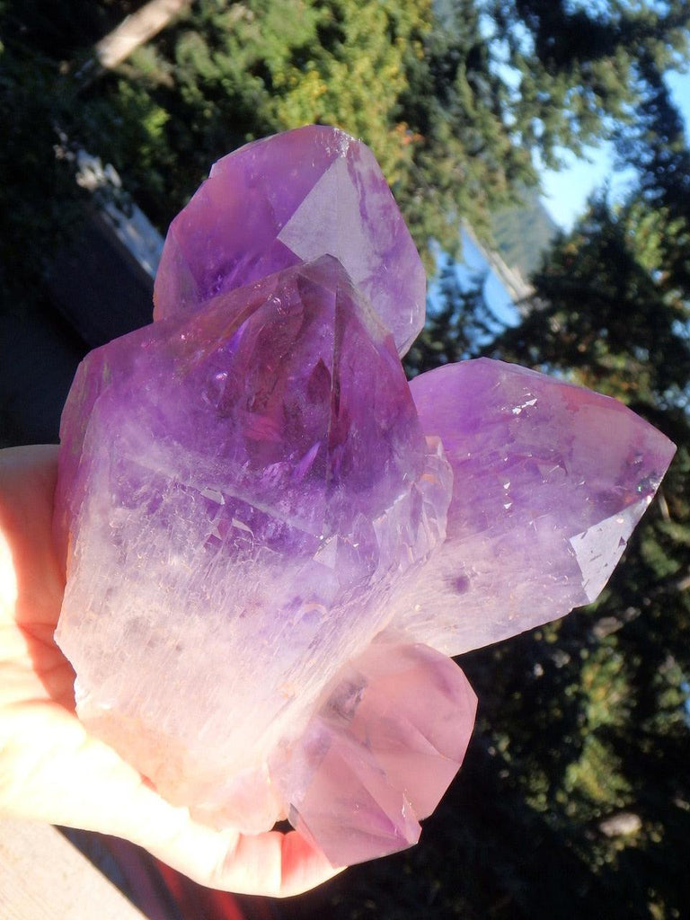 Exquisite XL Bolivian Elestial Ametrine Cathedral Cluster Unpolished Standing Specimen - Earth Family Crystals