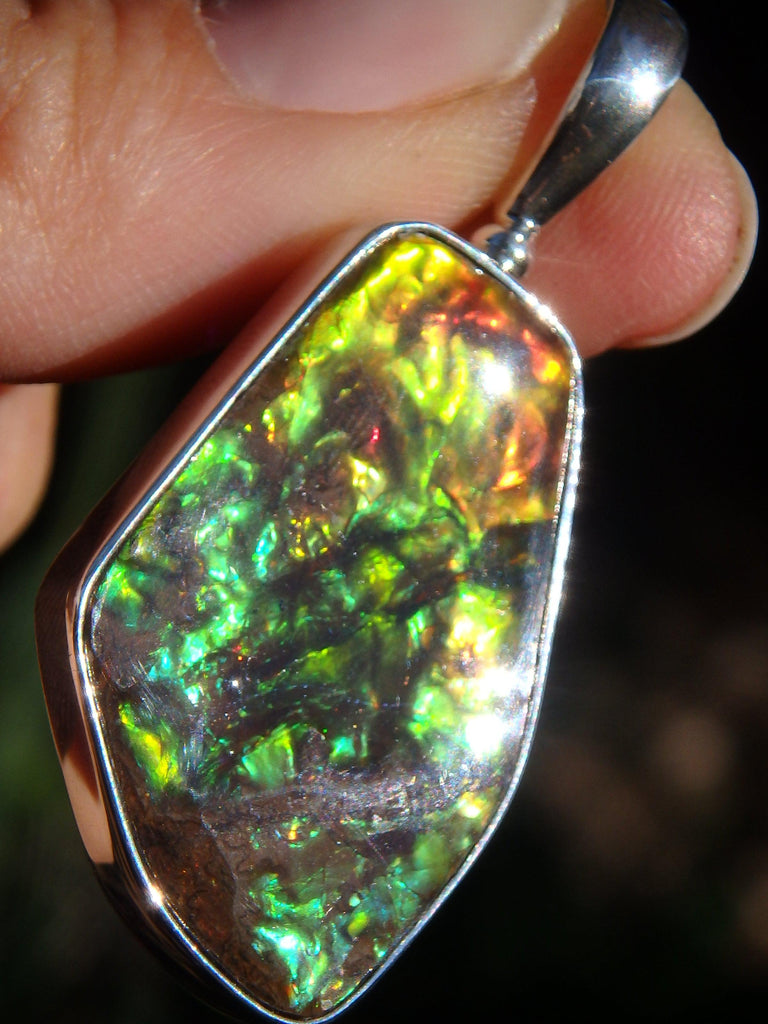 Incredible 3D Color Depth Flashes Canadian Ammolite Pendant in Sterling Silver (Includes Silver Chain) - Earth Family Crystals
