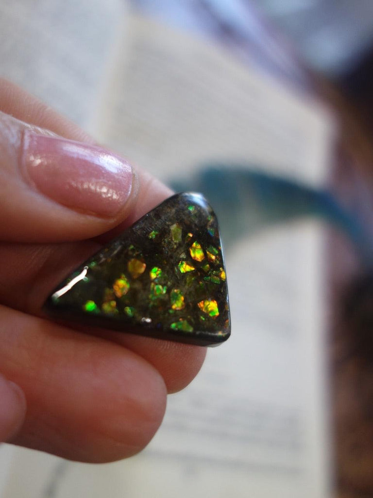 Sparkling Green and Orange Alberta Ammolite Cabochon - Earth Family Crystals