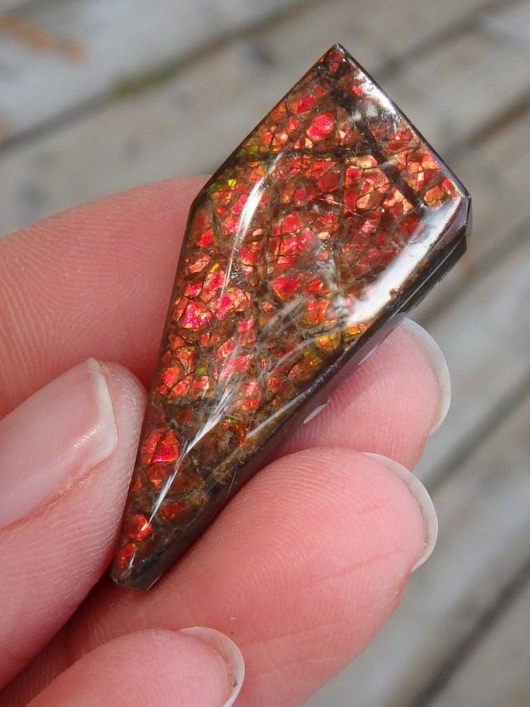 Red Flashes Ammolite Cabochon From Alberta (Perfect To Wire Wrap) - Earth Family Crystals