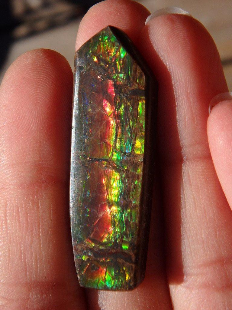 Alberta Ammolite Cabochon With Amazing Green & Red Flashes - Earth Family Crystals