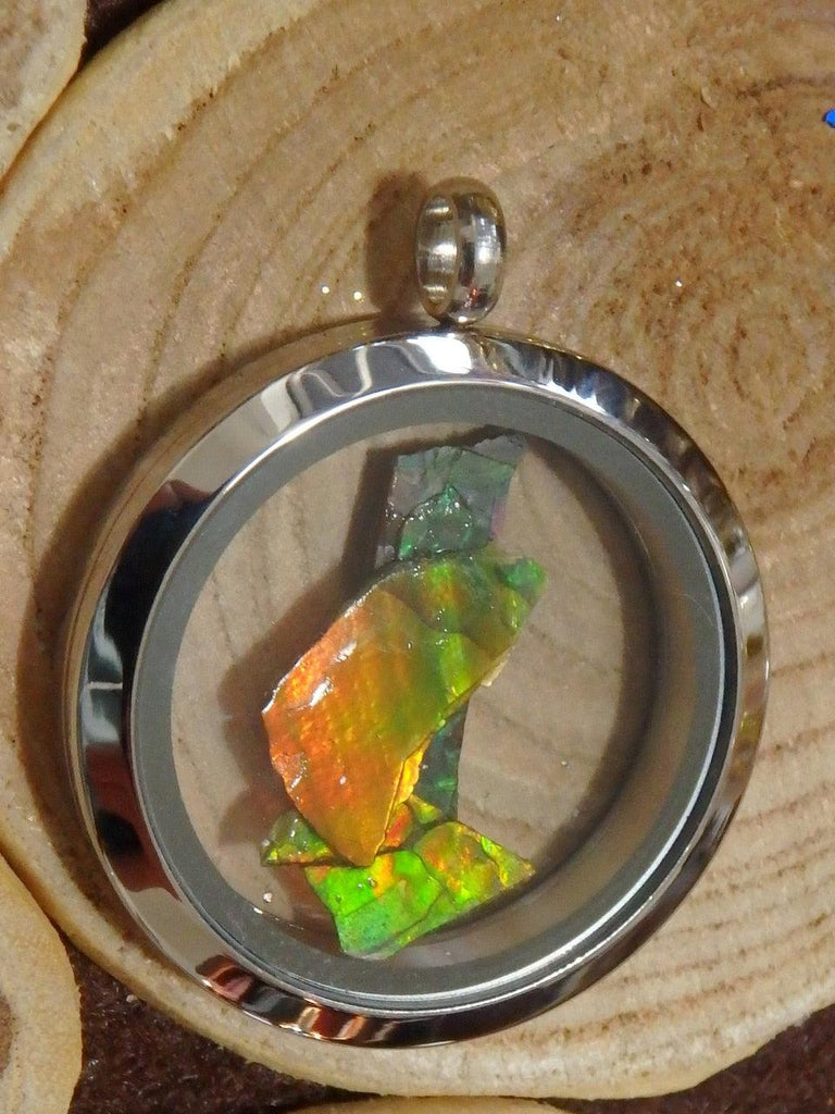 Lovely Floating Rainbow Ammolite Chips in Locket Style Stainless Steel Pendant (Includes Silver Chain) - Earth Family Crystals