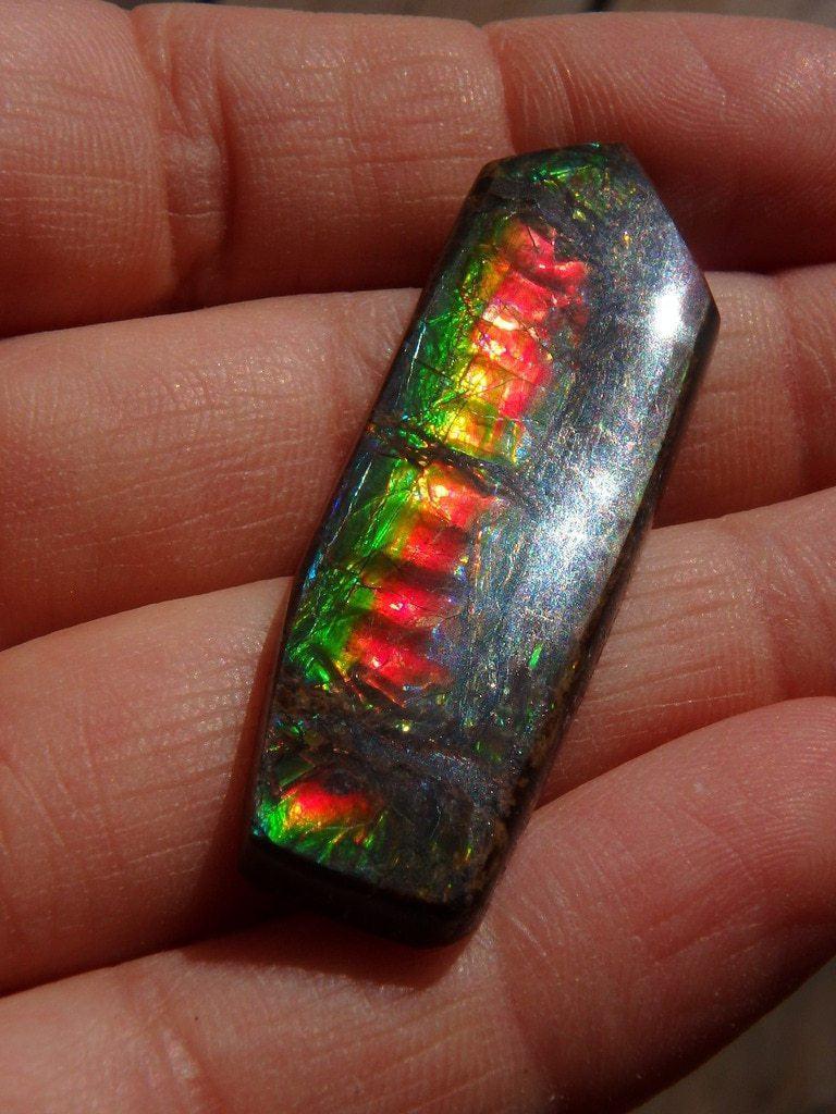 Alberta Ammolite Cabochon With Amazing Green & Red Flashes - Earth Family Crystals