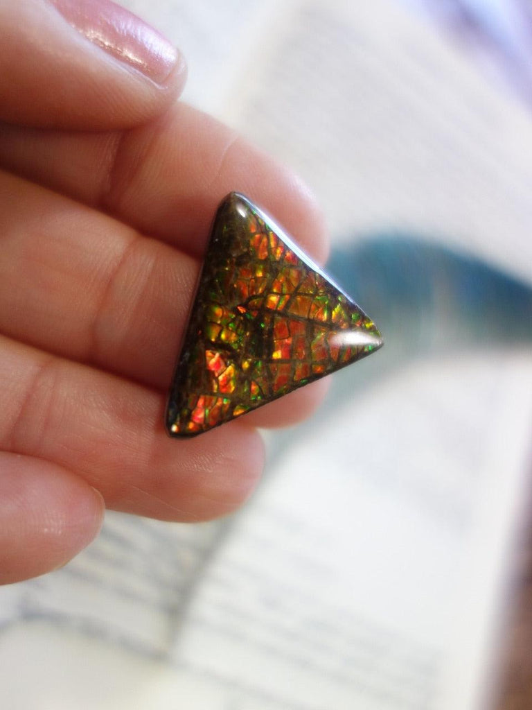Intense Red Golden & Green Flash Alberta Ammolite Cabochon - Earth Family Crystals