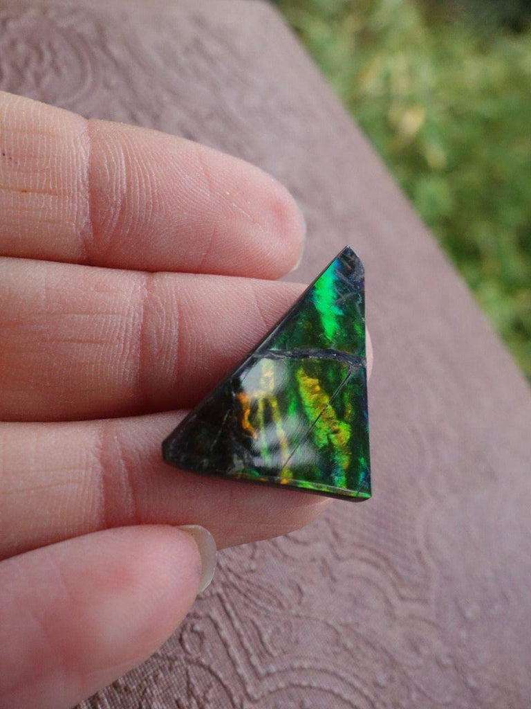 AA Grade~Delightful Flashes Alberta Ammolite Cabochon - Earth Family Crystals