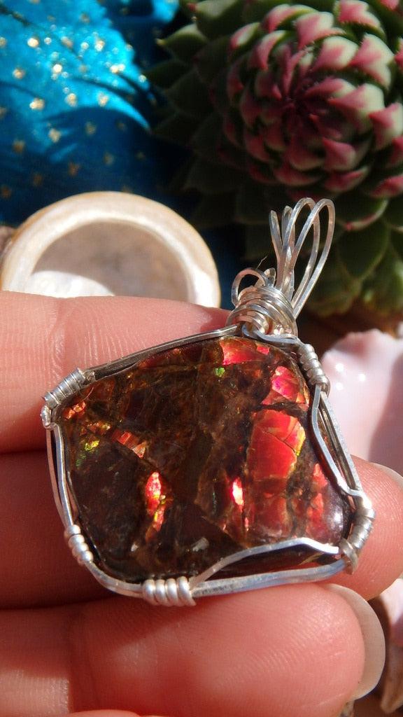 Wire Wrapped Canadian Ammolite Pendant In Sterling Silver (Includes Silver Chain) - Earth Family Crystals