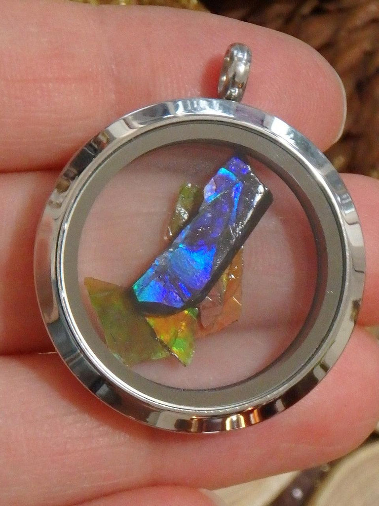 Lovely Floating Rainbow Ammolite Chips in Locket Style Stainless Steel Pendant (Includes Silver Chain) - Earth Family Crystals