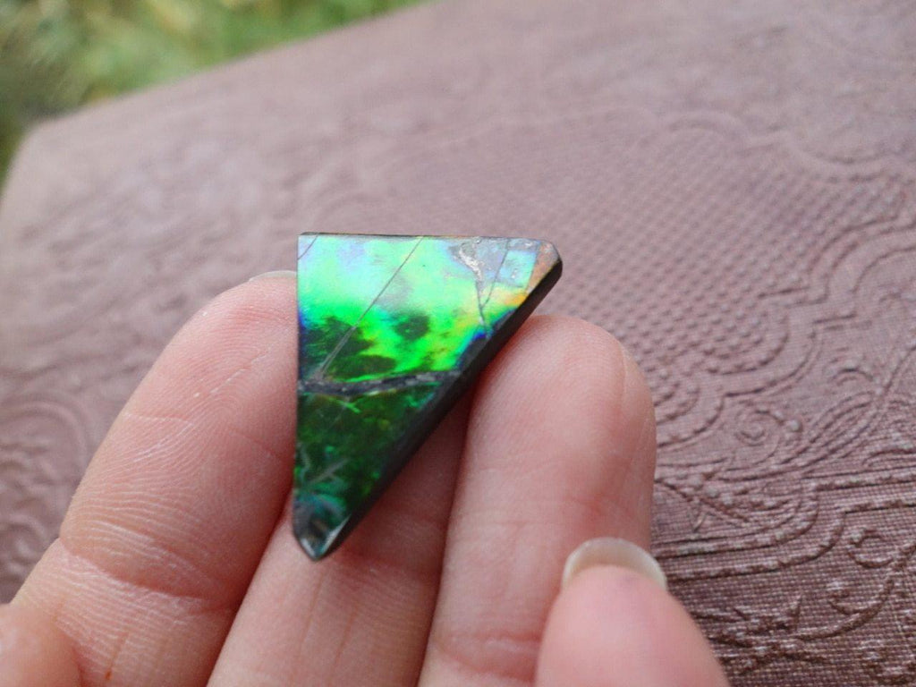 AA Grade~Delightful Flashes Alberta Ammolite Cabochon - Earth Family Crystals