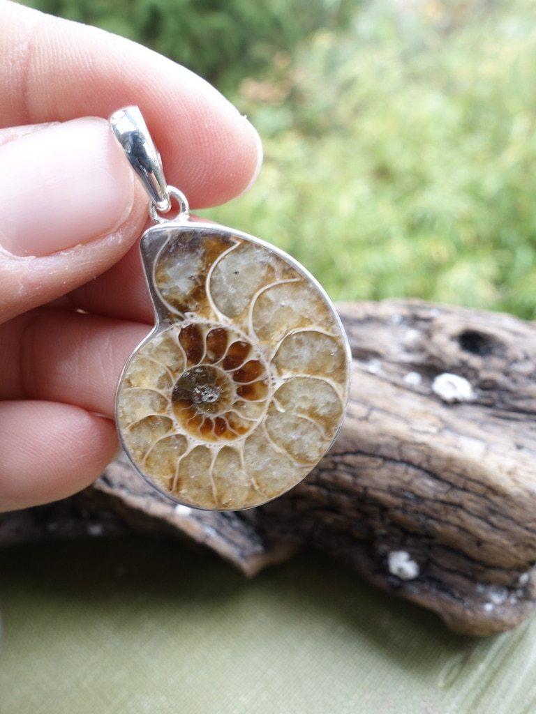 Awesome Ammonite Spiral Pendant In Sterling Silver (Includes Silver Chain) - Earth Family Crystals