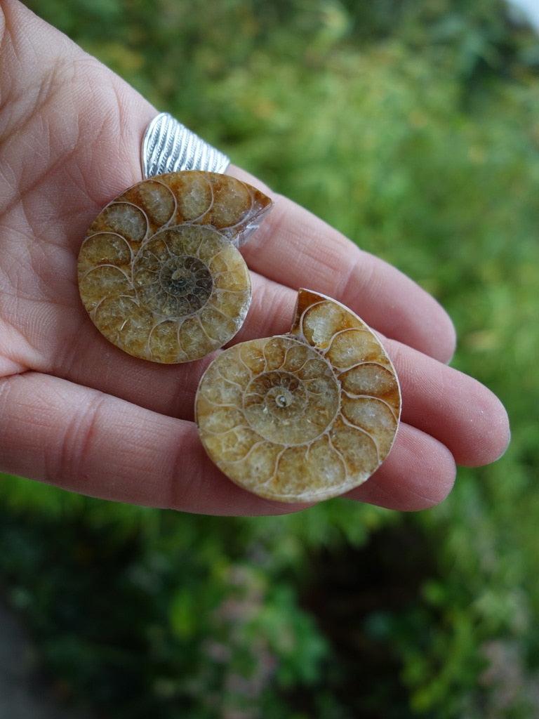 Golden Ammonite Matching Fossil Set - Earth Family Crystals