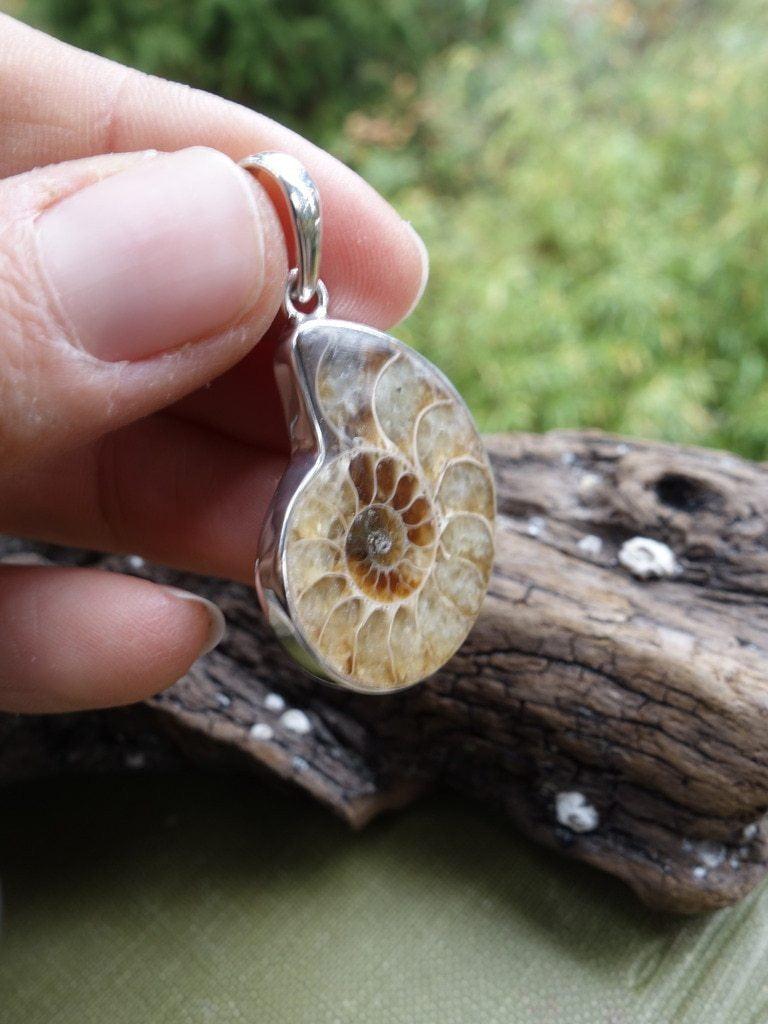 Awesome Ammonite Spiral Pendant In Sterling Silver (Includes Silver Chain) - Earth Family Crystals