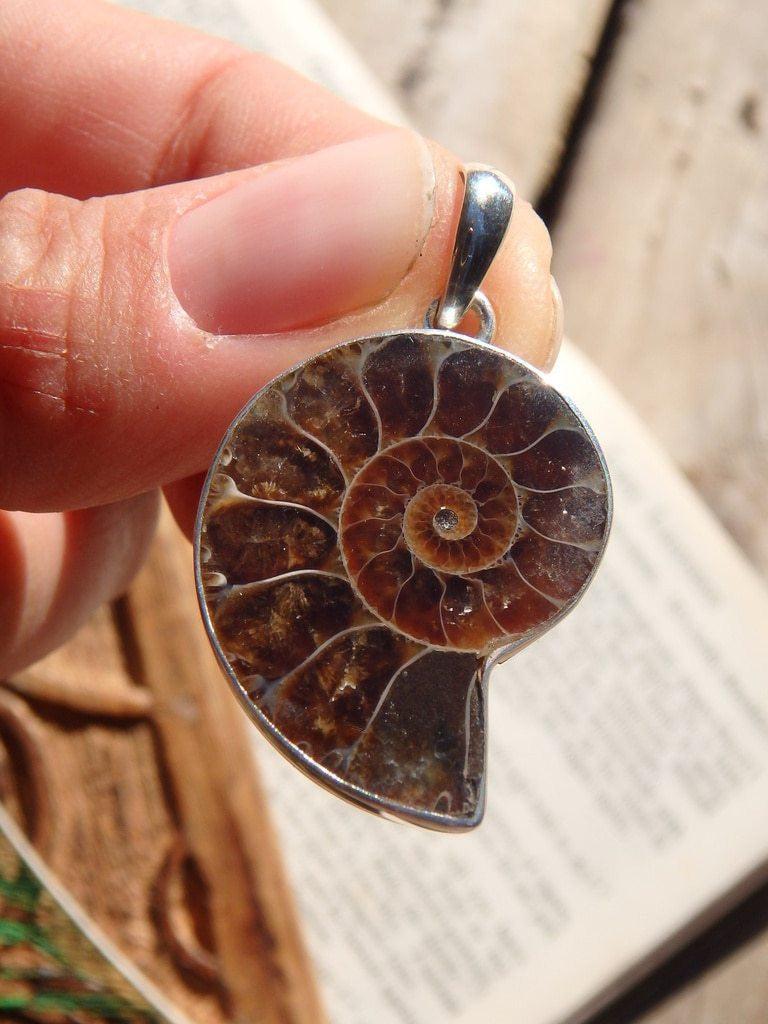 Earthy Brown Ammonite Fossil Pendant In Sterling Silver (Includes Silver Chain) - Earth Family Crystals