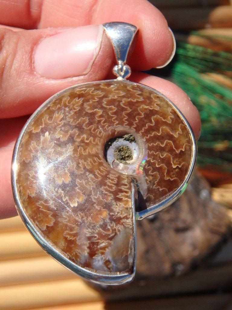 Custom Crafted~ Ancient Spiral Ammonite Fossil Pendant In Sterling Silver (Includes Silver Chain) - Earth Family Crystals
