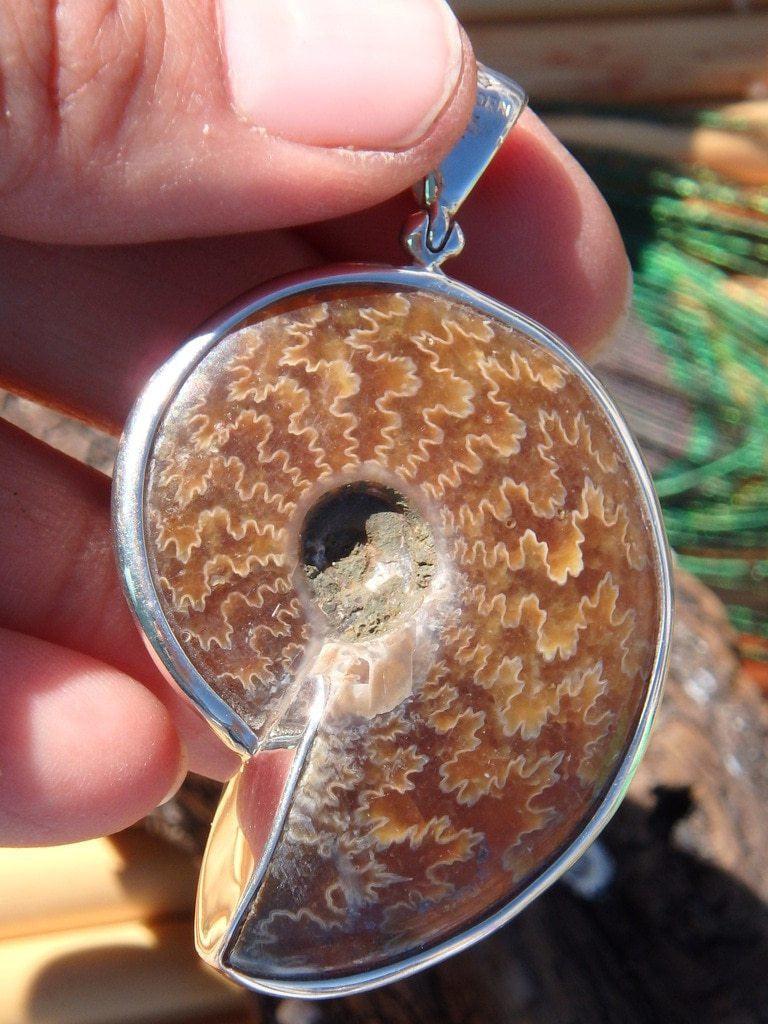 Custom Crafted~ Ancient Spiral Ammonite Fossil Pendant In Sterling Silver (Includes Silver Chain) - Earth Family Crystals