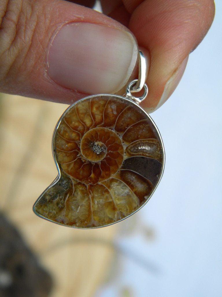 Ancient Fossil Ammonite Pendant In Sterling Silver (Includes Silver Chain) - Earth Family Crystals