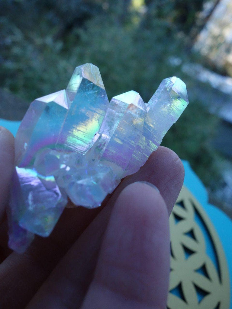 Angelic Vibes! Stunning Angel Aura Tabular Quartz Cluster - Earth Family Crystals