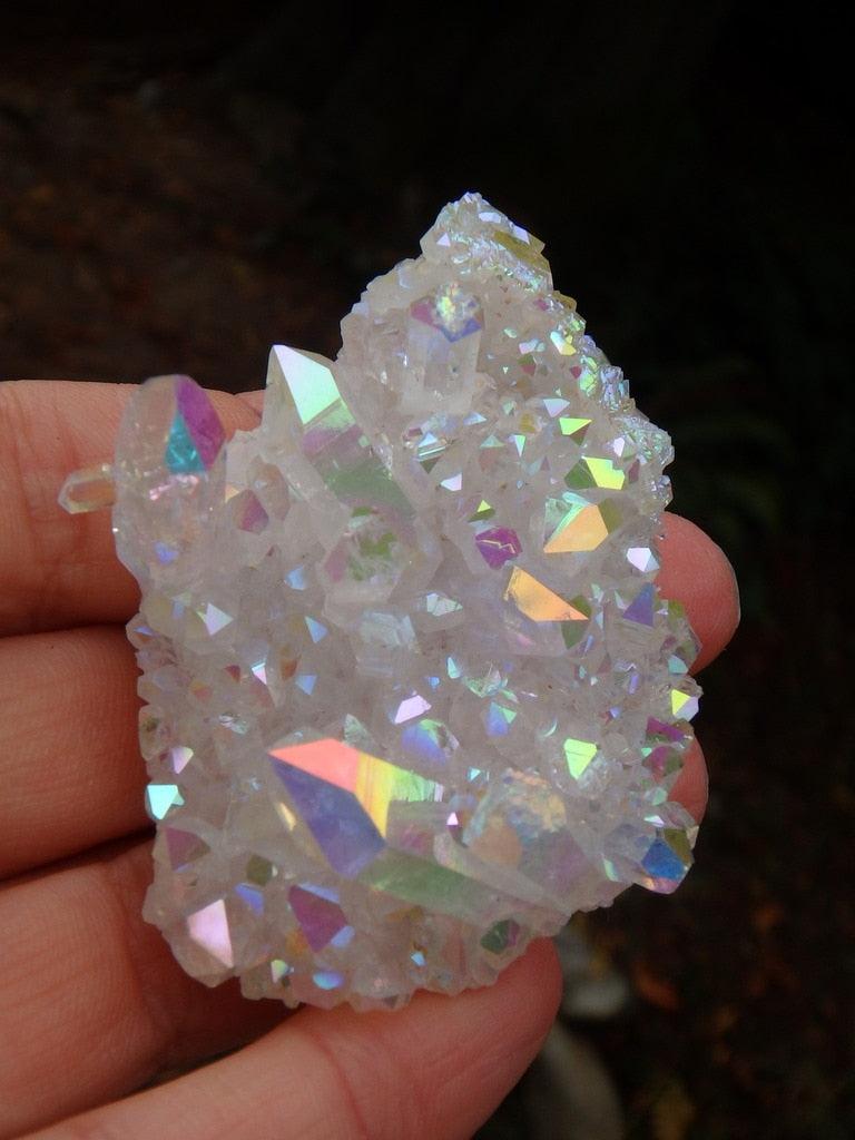 Exceptional Opal Glow Angel Aura Quartz Cluster 1 - Earth Family Crystals