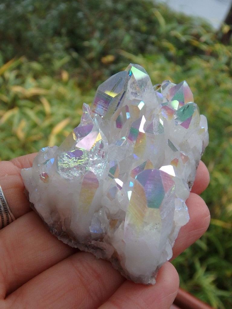 Magical Village~Large Angel Aura Quartz Cluster - Earth Family Crystals