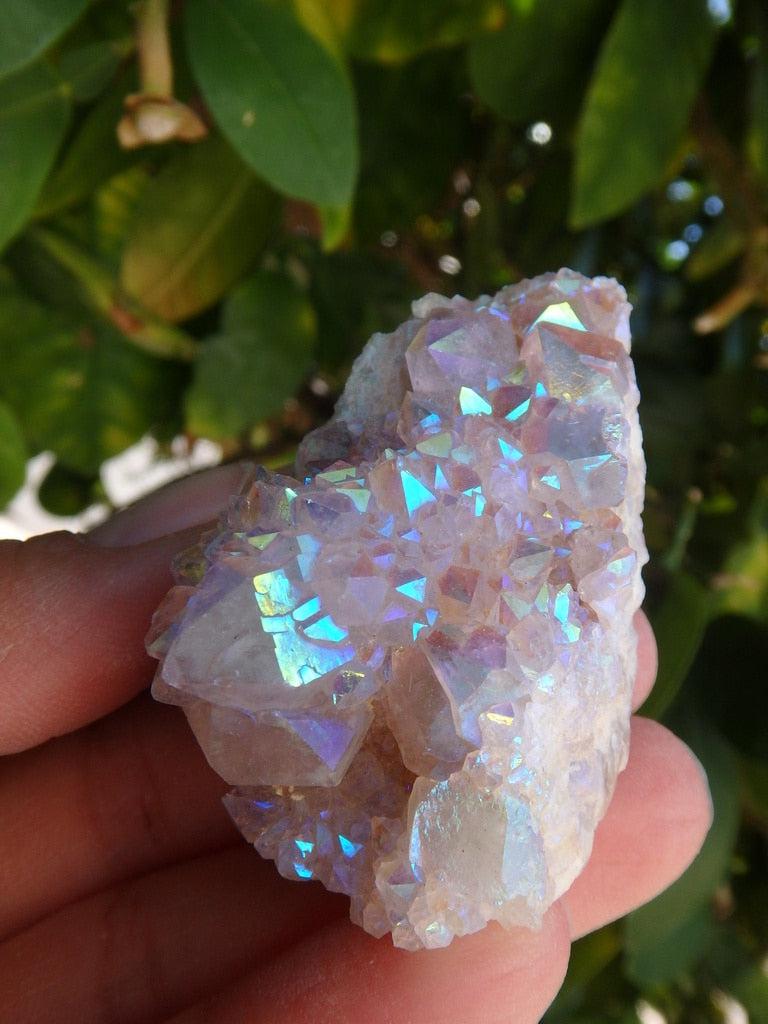 Reserved For Gwen D. Sparkling Angel Aura Spirit Quartz Specimen 7 - Earth Family Crystals