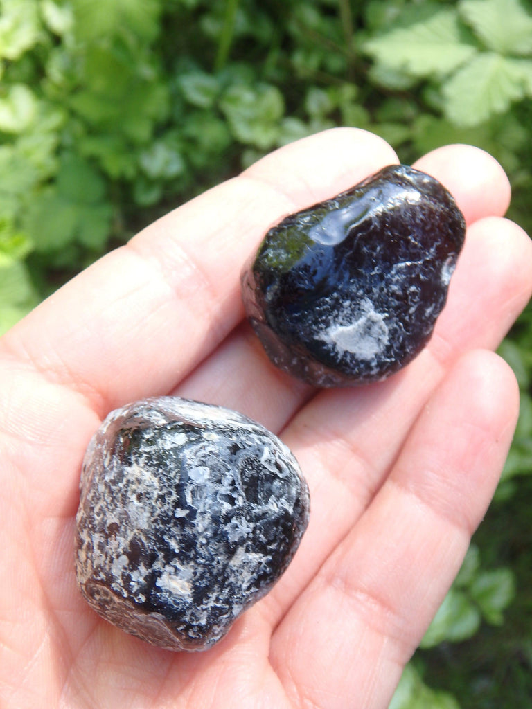 Set of 2~Arizona Natural Apache Tear Hand Held Specimens - Earth Family Crystals
