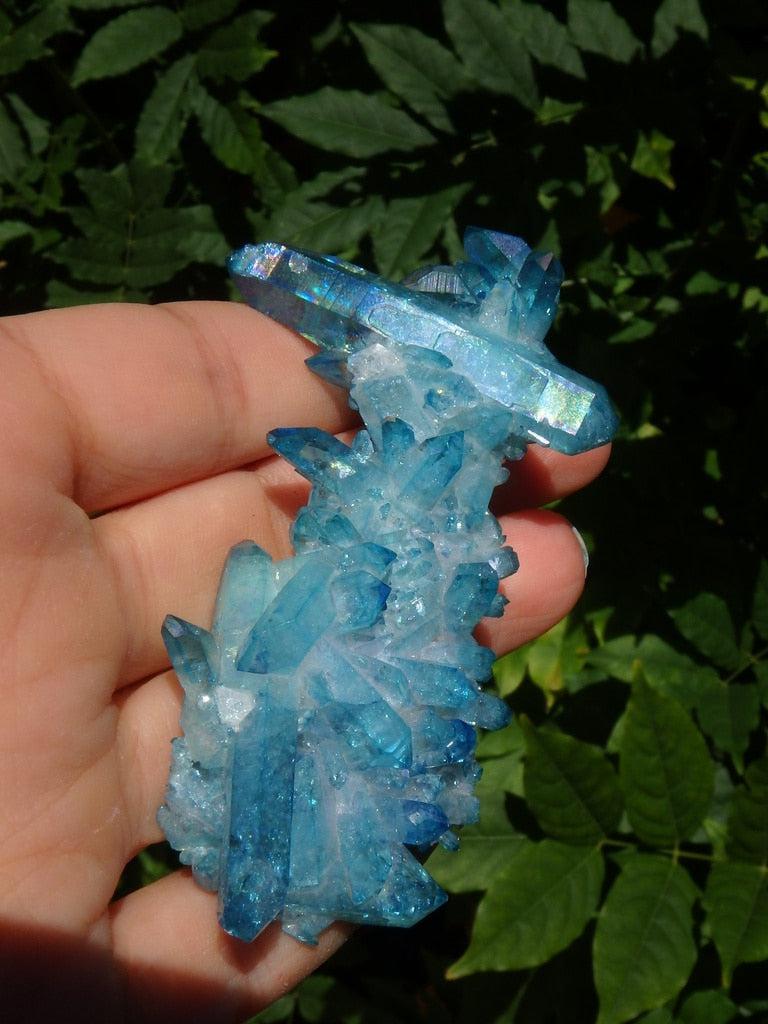 Fascinating Blue Sparkle Aqua Aura Quartz Cluster Specimen - Earth Family Crystals