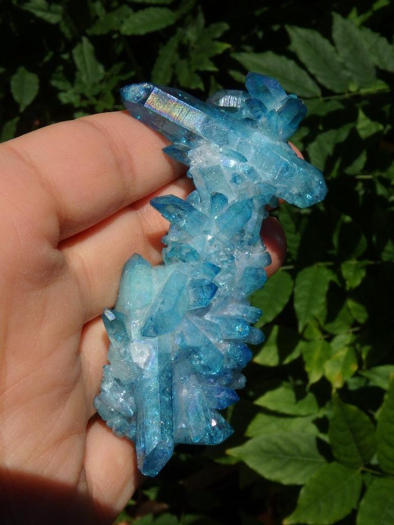 Fascinating Blue Sparkle Aqua Aura Quartz Cluster Specimen - Earth Family Crystals