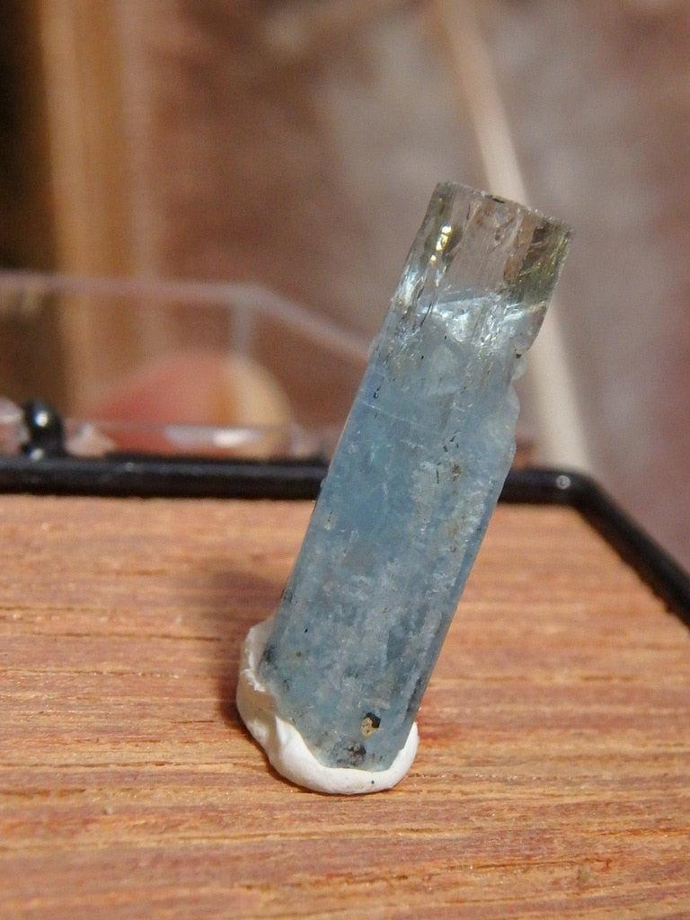 Gemmy Blue Aquamarine Specimen From Namibia in Collectors Box - Earth Family Crystals