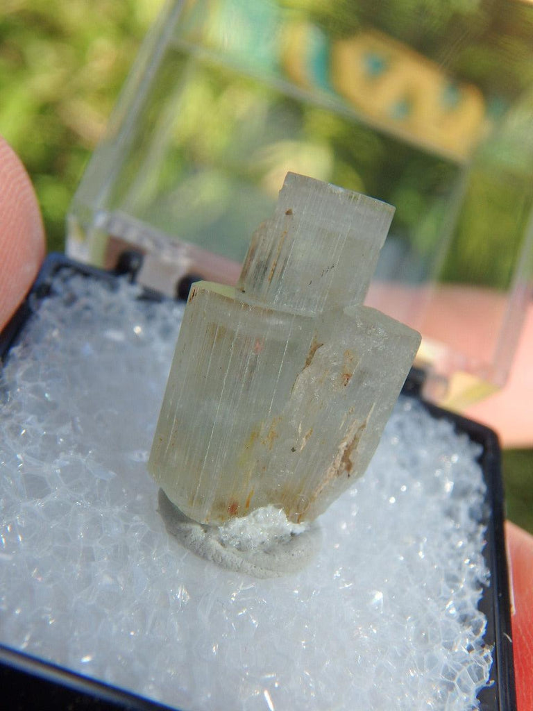 Triple Points Aquamarine Specimen in Collectors Box From Erongo Mnts, Namibia - Earth Family Crystals