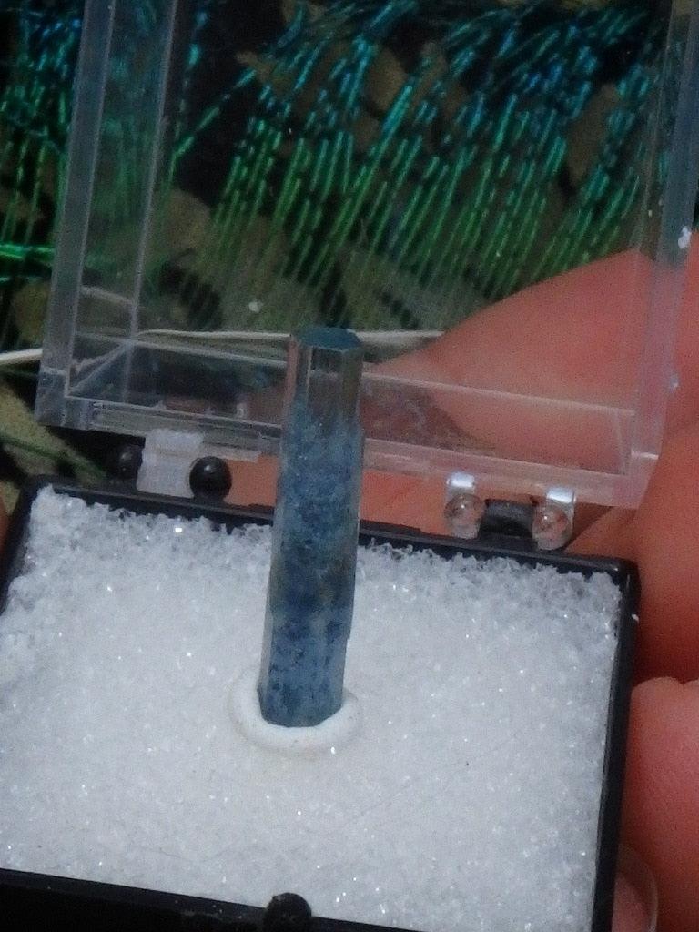 Gemmy Blue Aquamarine Point In Collectors Box From Namibia - Earth Family Crystals