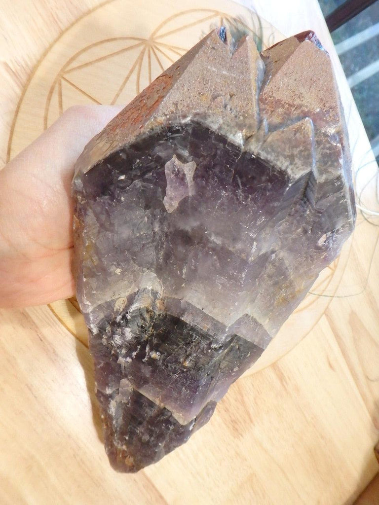Huge XXXL (Almost 2 KG) Red Tipped Auralite-23 Point From Canada - Earth Family Crystals