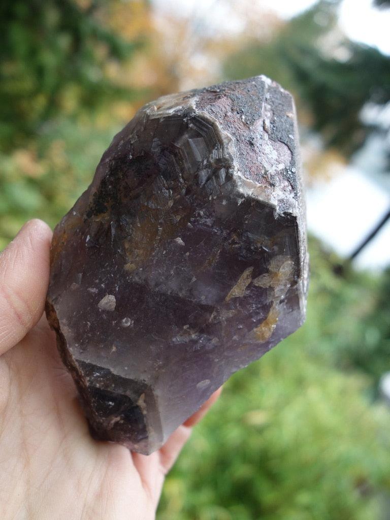 Incredible Self Healing! Large Red Tipped Genuine Canadian Auralite-23 Point - Earth Family Crystals