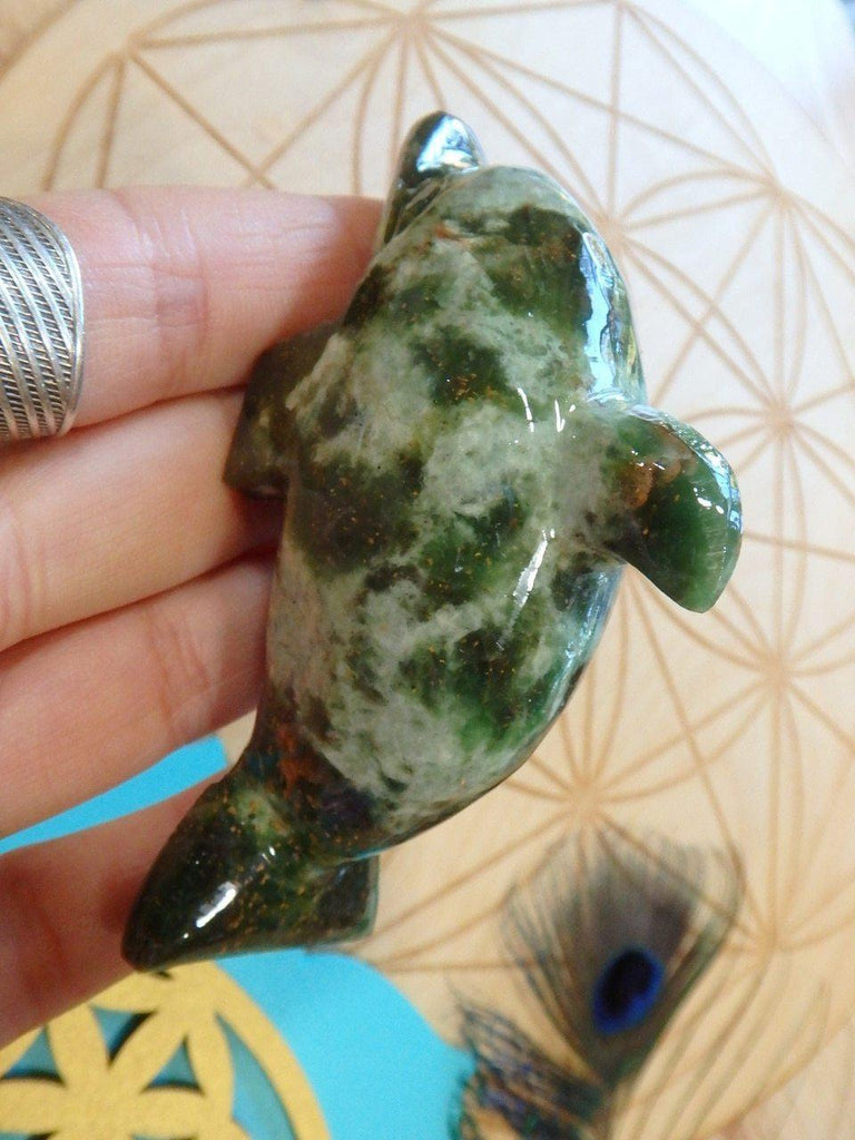 Deep Green High Shine Aventurine Dolphin Carving - Earth Family Crystals
