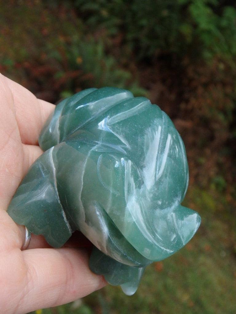 Friendly Forest Green Aventurine Frog Carving - Earth Family Crystals